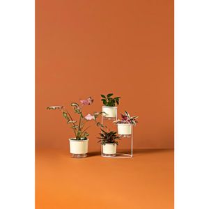 Vaso Autoirrigavel 03 Calcário Vaso Raiz