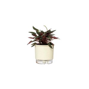 Vaso Autoirrigavel 04 Calcário Vaso Raiz