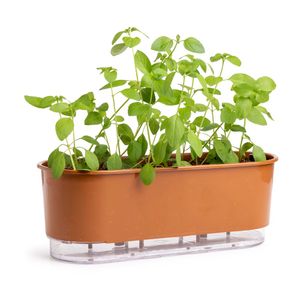 Jardineira Autoirrigavel Terracota Vaso Raiz