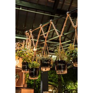 Vaso Autoirrigavel 03 Manjericão Preto Vaso Raiz
