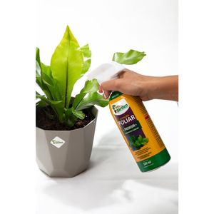 Fertilizante Pronto Uso Premium 500Ml West Garden