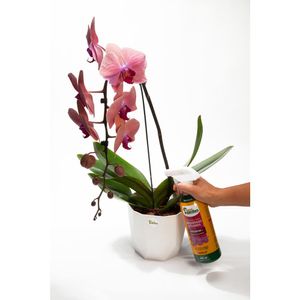 Fertilizante Pronto Orquídeas|Flores 500Ml West Garden