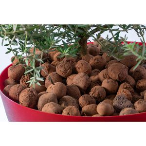 Argila Expandida 1Kg West Garden