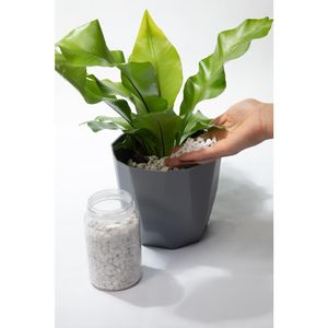 Pedra Branca Garden 750G West Garden