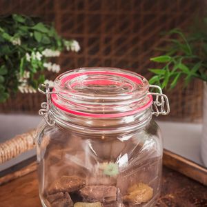 Pote De Vidro Selador 1000Ml Hasiera