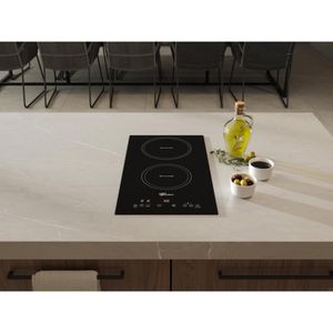 Cooktop 2 Bocas Por Indução Mesa Vitroceramica Touch - Fischer