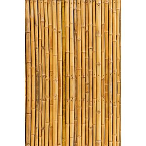 Papel Filme Adesivo 7750 Bambu 45X200Cm Tokfix