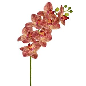 Haste De Orquídea 3D X7 Burgundy Grillo