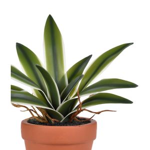 Arranjo Folha De Orquídea No Pote Verde Grillo