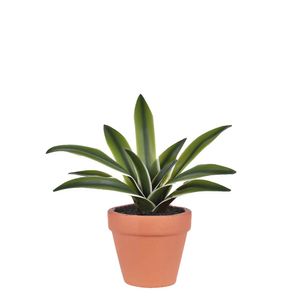 Arranjo Folha De Orquídea No Pote Verde Grillo
