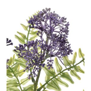 Haste De Sedum Lavanda Grillo