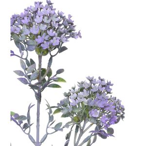 Haste De Carinho De Mãe Outonado Lavanda Grillo