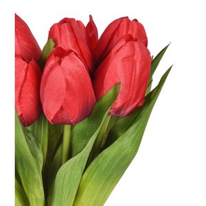 Ramalhete De Tulipa X9 Vermelho Grillo