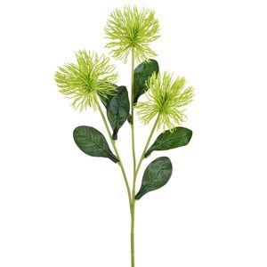 Haste De Ourico X3 Verde Grillo