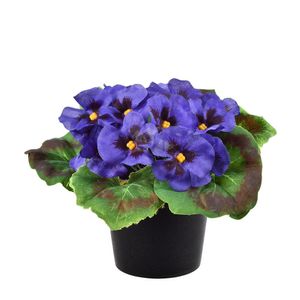 Arranjo De Violeta Lavanda Grillo