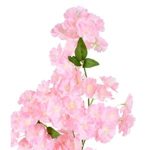 Haste De Cerejeira X6 Rosa Grillo