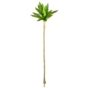 Haste De Dracena Real Toque Verde Grillo