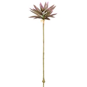 Haste De Dracena Real Toque Lavanda Verde Grillo