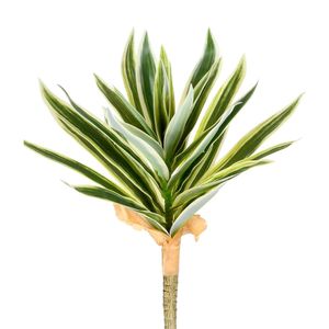 Haste De Dracena Real Toque Verde Branco Grillo