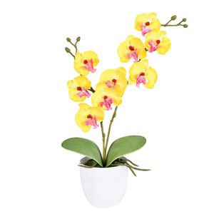 Arranjo Orquídea X2 Amarelo Grillo