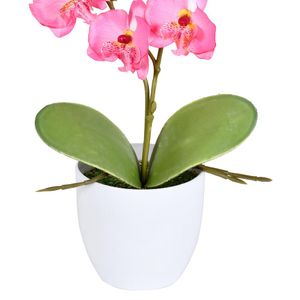 Arranjo Orquídea X2 Rosa Grillo