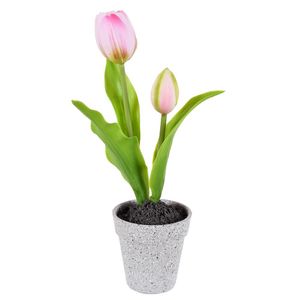 Arranjo Tulipa X2 Rosa Grillo