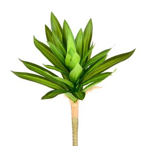 Haste De Dracena Real Toque Verde Grillo