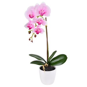 Arranjo Orquídea No Pote Creme Rosa Grillo