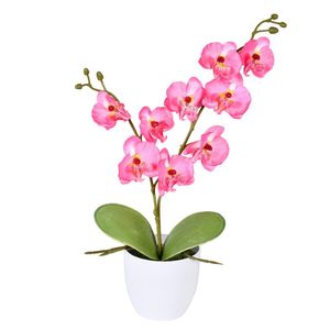 Arranjo Orquídea X2 Rosa Grillo