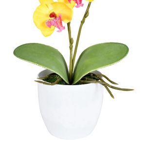 Arranjo Orquídea X2 Amarelo Grillo