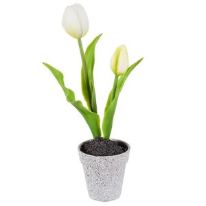 Arranjo Tulipa X2 Branco Grillo