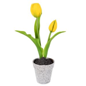 Arranjo Tulipa X2 Amarelo Grillo