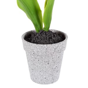 Arranjo Tulipa X2 Rosa Grillo