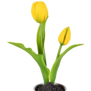 Arranjo Tulipa X2 Amarelo Grillo
