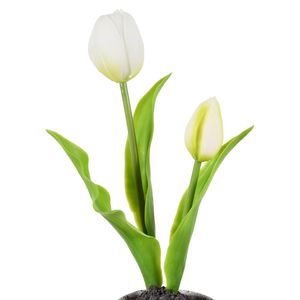 Arranjo Tulipa X2 Branco Grillo