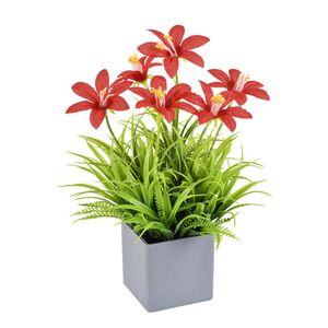 Arranjo Dafodille No Pote Vermelho Grillo