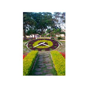 Placa Kapos Decorativa 3Mm Praça Do Relogio Garanhus - Pe 20X30Cm