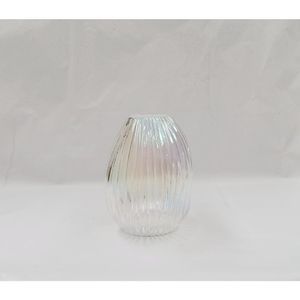 Vaso Hasiera Vidro 15x13,5x20cm Colorido Hasiera