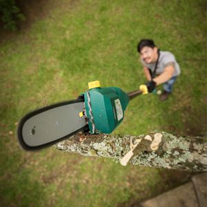 Podador De Altura Eletrico Tekna Pa750T2 750W 220V 60Hz Barra 20Cm