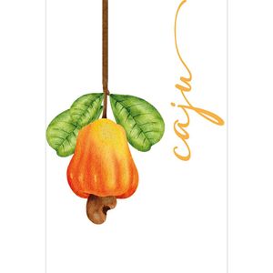Placa Decorativa Cordel Caju 20X30Cm Arte Própria