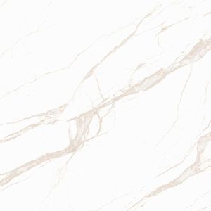 Porcelanato Marmorizado Polido Retificado Tokyo Tipo A 76X76CM - PPO76350R Tecnogres