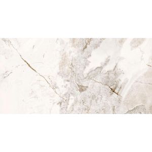 Porcelanato Marmorizado Polido Retificado Nevado Tipo A 60X120CM - 2861-A - Delta