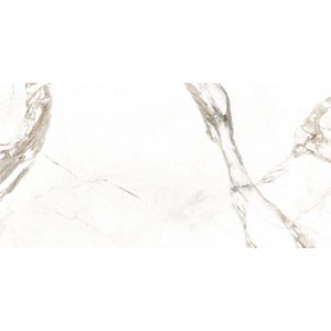 Porcelanato Marmorizado Polido Retificado Capraia Tipo A 60X120CM - 8063804 - Elizabeth