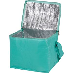 Bolsa Térmica 24 Litros Poliester Bel