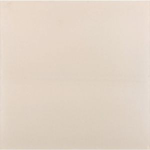 Piso Cerâmico Sintetico Cru Brilho Retificado Classico Tipo A 59,5X59,5CM - 209903E - Pointer