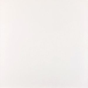 Piso Cerâmico Sintetico Branco Brilho Retificado Classico Tipo A 59,5X59,5CM - 206607E - Pointer