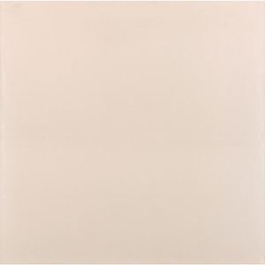 Piso Cerâmico Sintético Cru Brilho Classico Tipo A 60X60CM - 208948E - Pointer