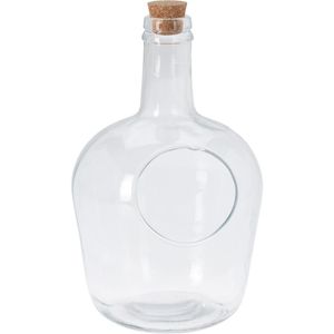 Terrário Decorativo Hasiera Transparente 4L Vidro Hasiera