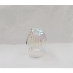 Vaso Hasiera Vidro 15x13,5x20cm Colorido Hasiera